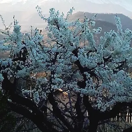 Vacanze Dietroserra Viagrande